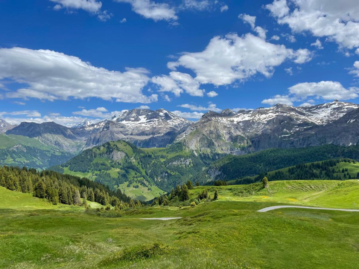 Apartment Residence Sonnegg - Reimers - Vogel Zweisimmen Dış mekan fotoğraf